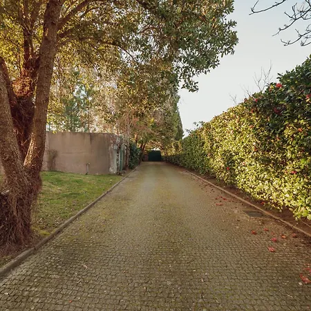 Vakantiehuis Quinta Esperanca