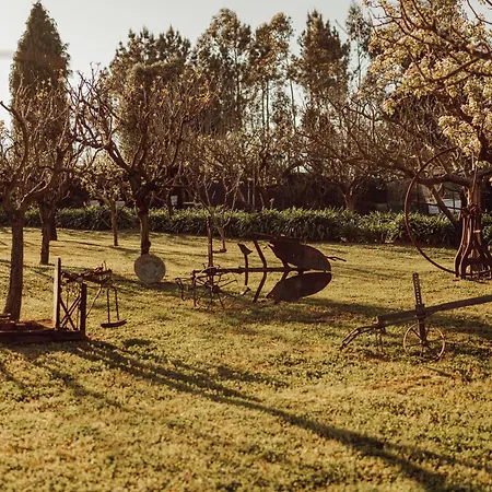 Quinta Esperanca Vila Nova de Gaia
