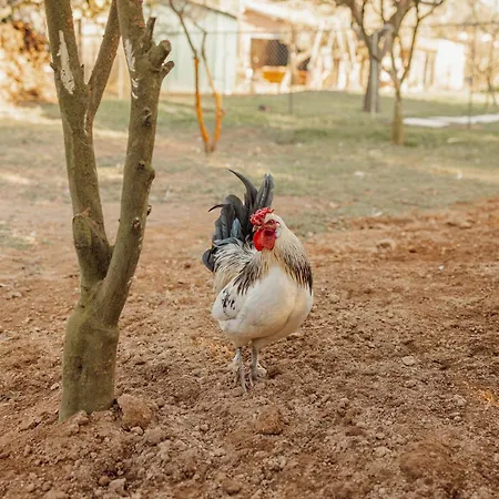 Vakantiehuis Quinta Esperanca Vila Nova de Gaia