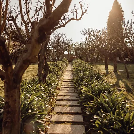 Vakantiehuis Quinta Esperanca *