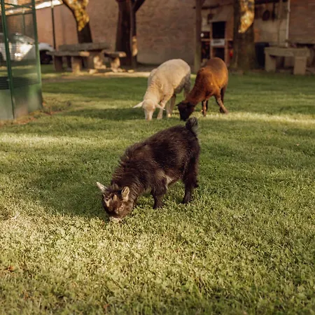 Quinta Esperanca * Vila Nova de Gaia