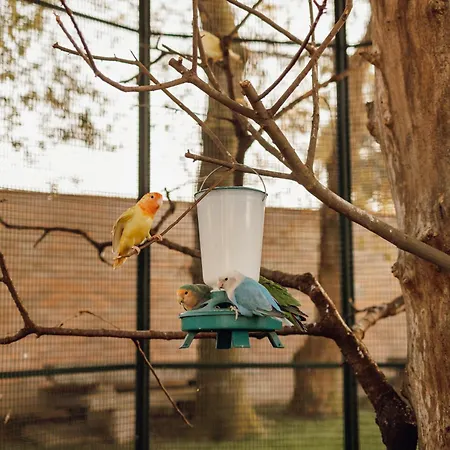 Vakantiehuis Quinta Esperanca *