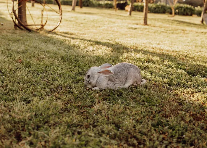 Feriehus Quinta Esperanca