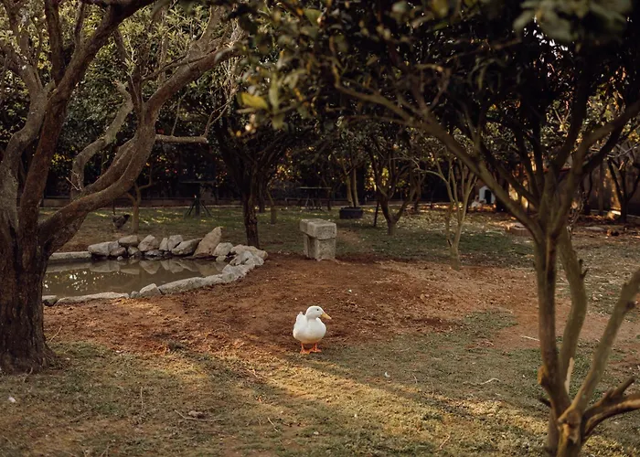 Feriehus Quinta Esperanca *