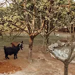 Quinta Esperanca Vila Nova de Gaia