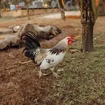 Quinta Esperanca *