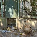Quinta Esperanca