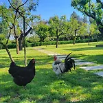 Quinta Esperanca Сasa de vacaciones Vila Nova de Gaia