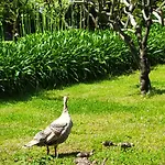 Quinta Esperanca Vila Nova de Gaia