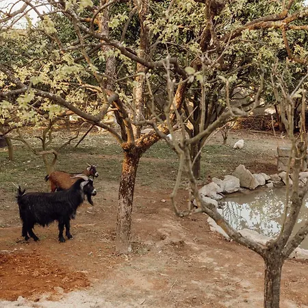 Quinta Esperança Vila Nova de Gaia