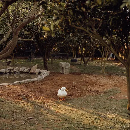 Casa de Férias Quinta Esperança *
