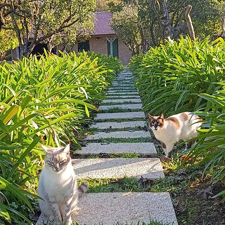 Quinta Esperança Vila Nova de Gaia
