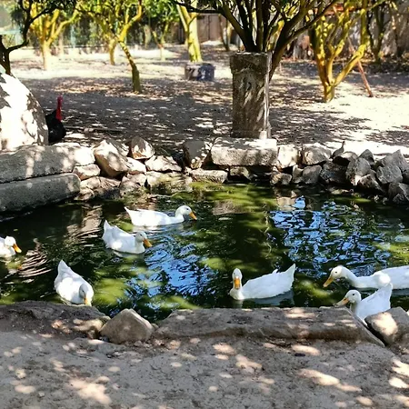 بيت للعطل Quinta Esperanca فيلا نوفا دي غايا