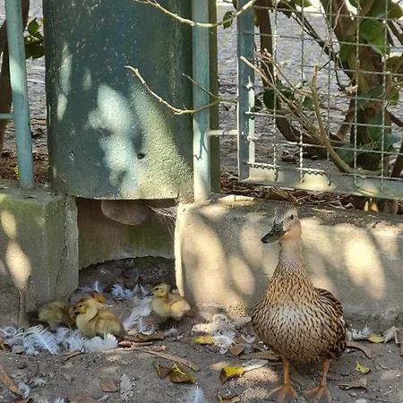 Quinta Esperança