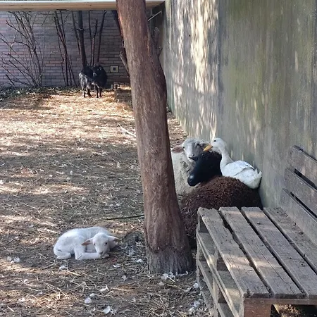 Quinta Esperança Casa de Férias