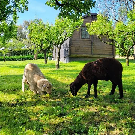 Quinta Esperança Vila Nova de Gaia