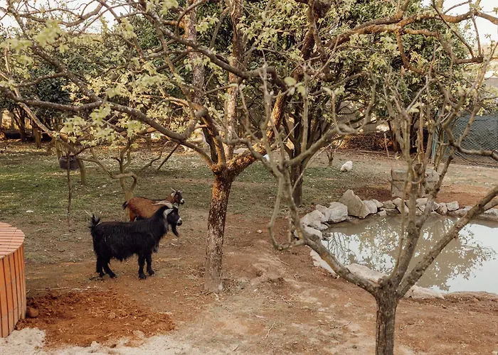 Quinta Esperanca Βίλα Νόβα ντε Γκάια