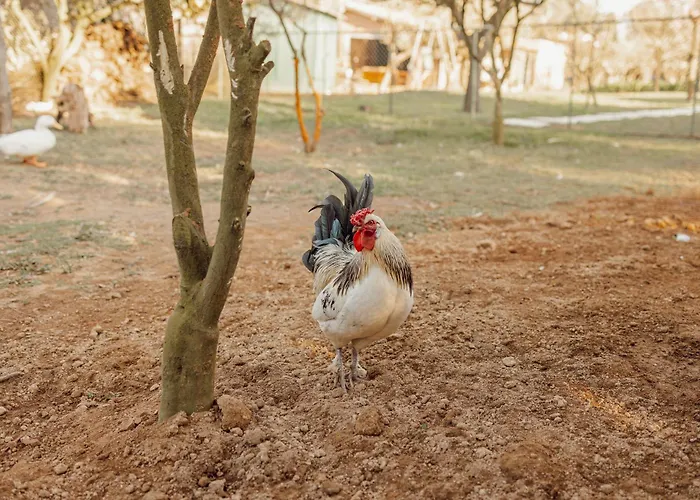 Σπίτι διακοπών Quinta Esperanca Βίλα Νόβα ντε Γκάια