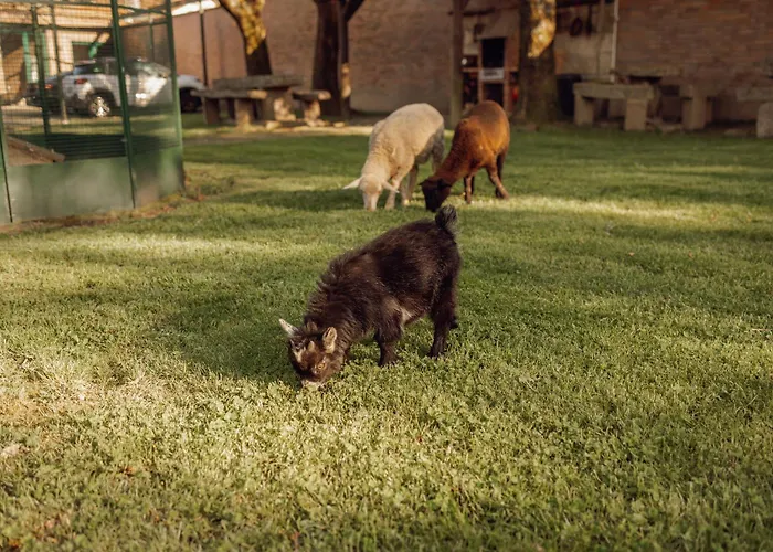 Quinta Esperanca * Βίλα Νόβα ντε Γκάια