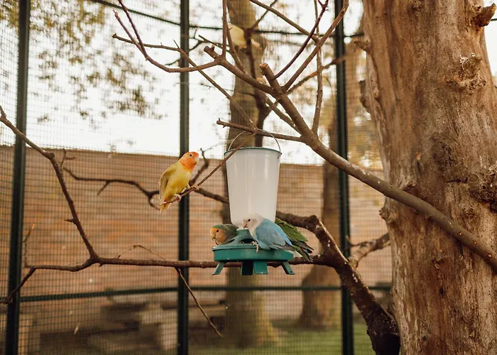 Σπίτι διακοπών Quinta Esperanca *